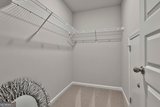 spacious closet featuring carpet