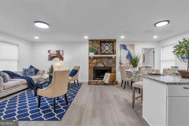 living room with a stone fireplace and wood-type flooring