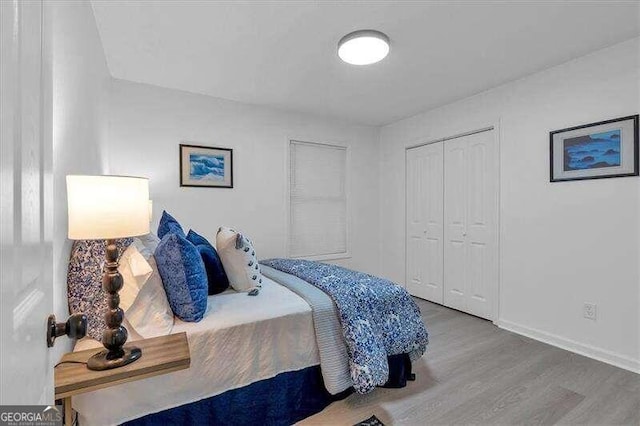 bedroom featuring wood-type flooring and a closet