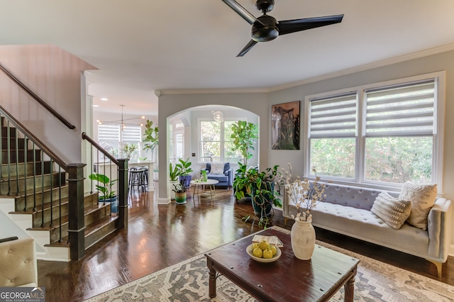 living room with ornamental molding, ceiling fan with notable chandelier, dark hardwood / wood-style floors, and plenty of natural light