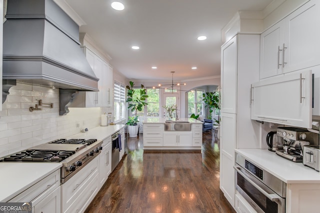 kitchen with crown molding, appliances with stainless steel finishes, custom range hood, dark hardwood / wood-style floors, and white cabinets