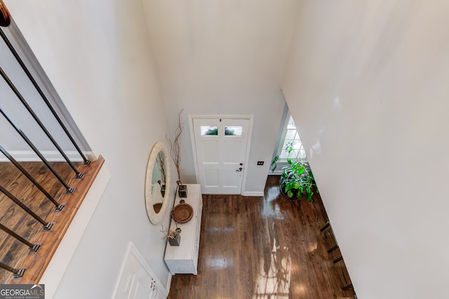 entryway featuring a high ceiling and dark hardwood / wood-style flooring