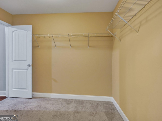 walk in closet featuring carpet flooring