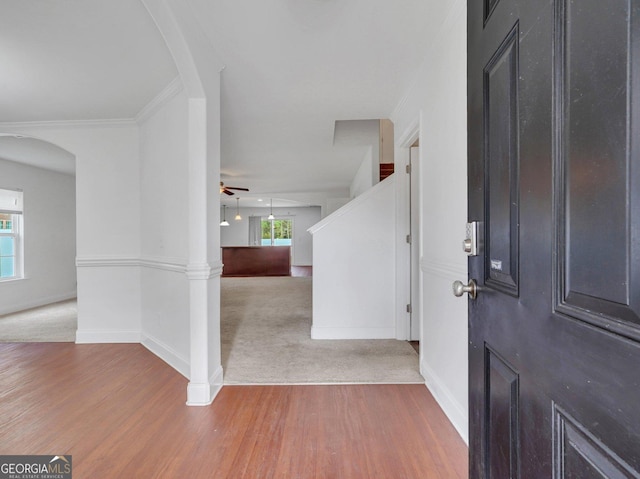 entryway featuring ceiling fan, ornamental molding, and carpet flooring