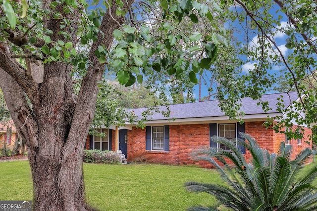 ranch-style home with a front lawn