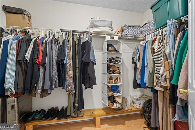 walk in closet featuring hardwood / wood-style floors