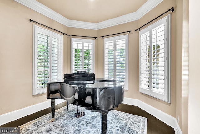 misc room with ornamental molding, a wealth of natural light, and dark hardwood / wood-style flooring