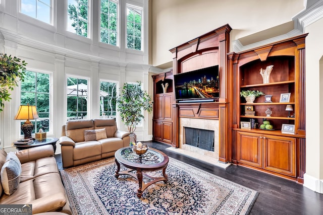 living room with a fireplace, plenty of natural light, dark hardwood / wood-style floors, and a high ceiling