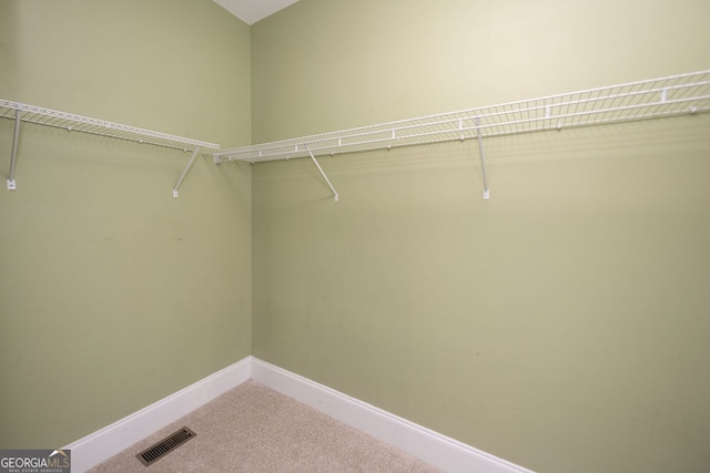 walk in closet featuring carpet flooring