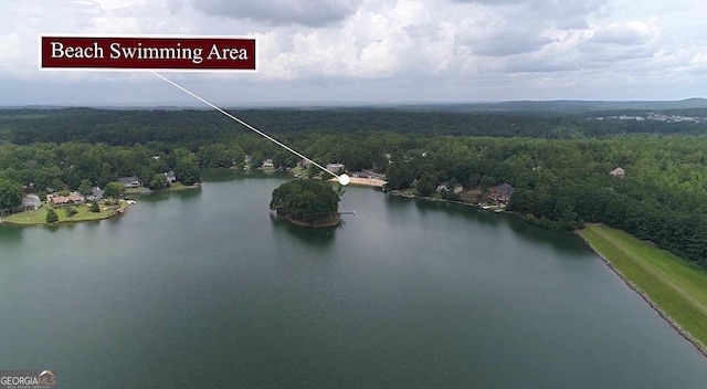 aerial view with a water view and a view of trees