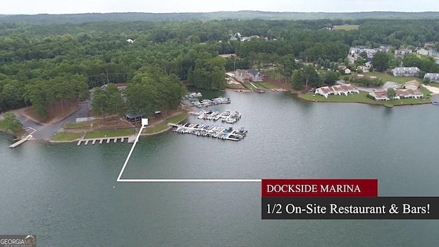 birds eye view of property featuring a water view and a forest view