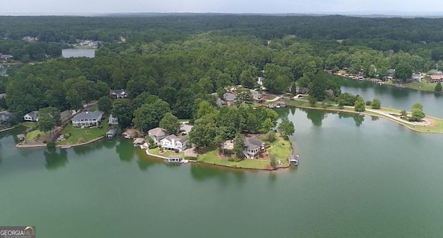 aerial view with a water view and a view of trees