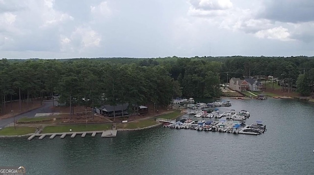 bird's eye view featuring a forest view and a water view