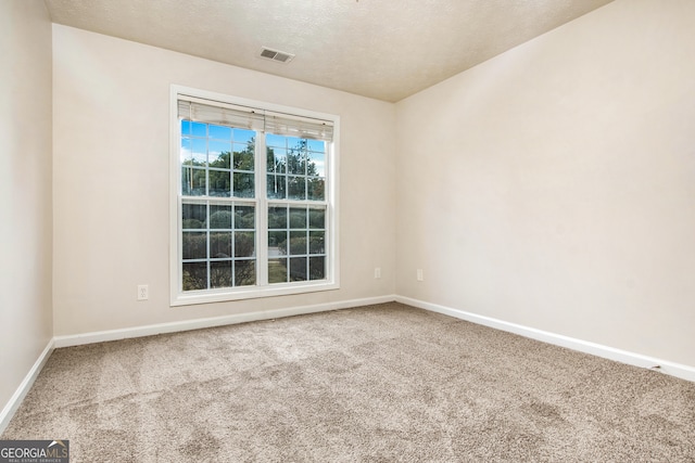 empty room featuring carpet and a textured ceiling