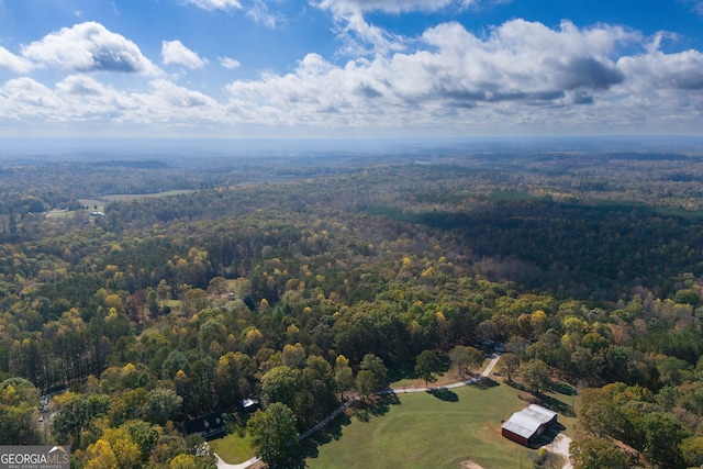 bird's eye view