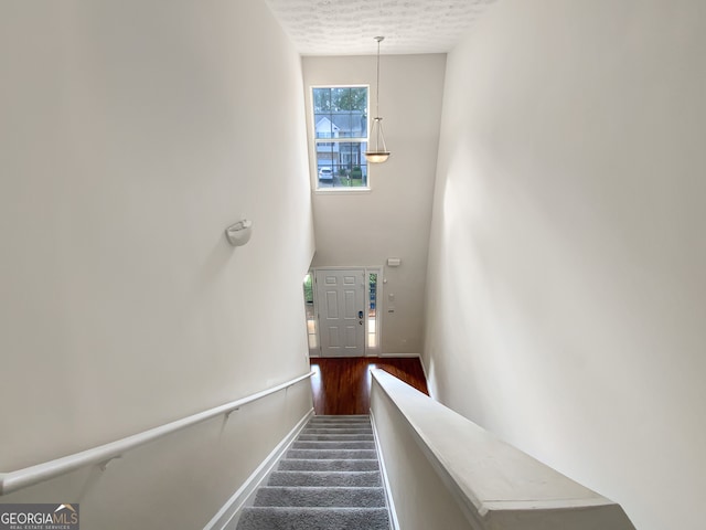 stairs with hardwood / wood-style flooring