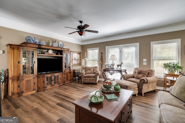 living room with wood-type flooring, ceiling fan, and crown molding