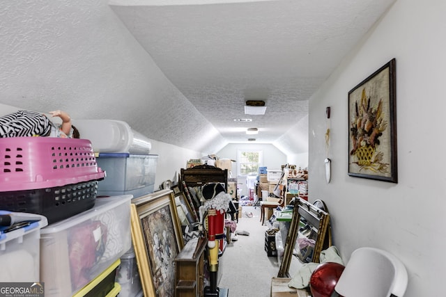 interior space featuring a textured ceiling, vaulted ceiling, and carpet