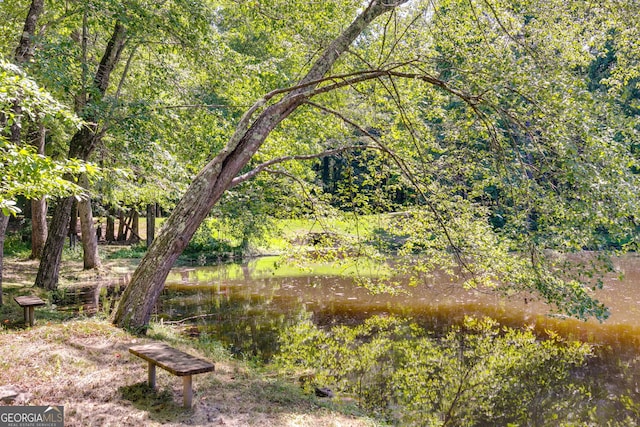 view of nature featuring a water view