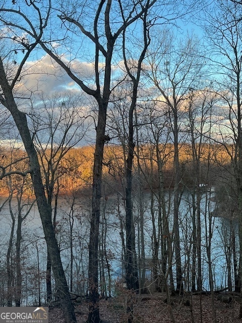 view of water feature with a mountain view