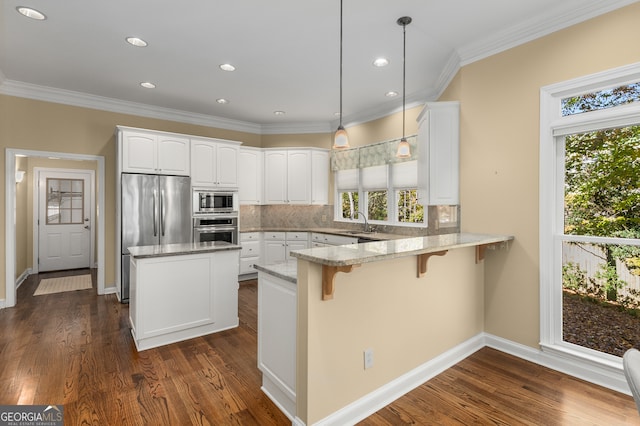 kitchen featuring kitchen peninsula, a wealth of natural light, pendant lighting, and appliances with stainless steel finishes