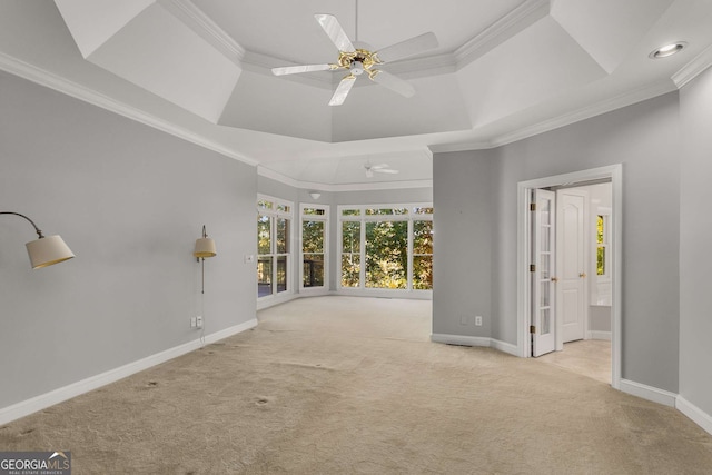 carpeted spare room featuring ceiling fan, ornamental molding, and a tray ceiling