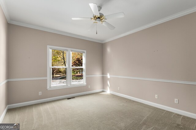 spare room with carpet, ceiling fan, and ornamental molding