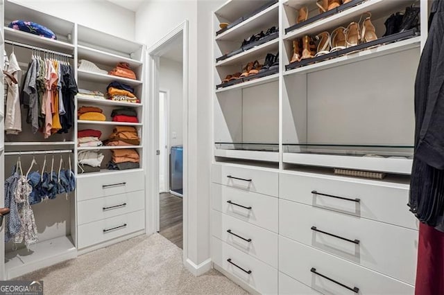 spacious closet featuring light colored carpet