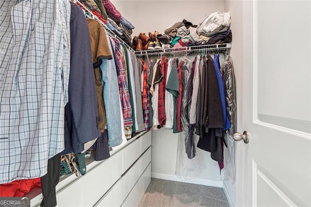 spacious closet featuring carpet floors