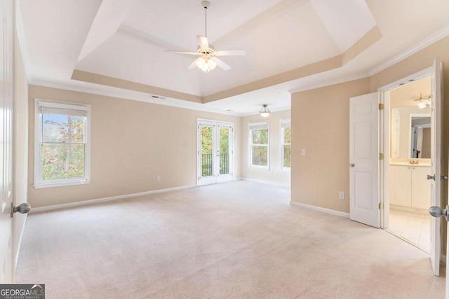 empty room featuring light carpet and a tray ceiling