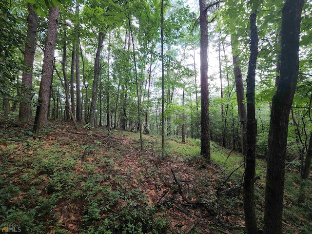 LOT107 Rosen Strasse, Helen GA, 30545 land for sale