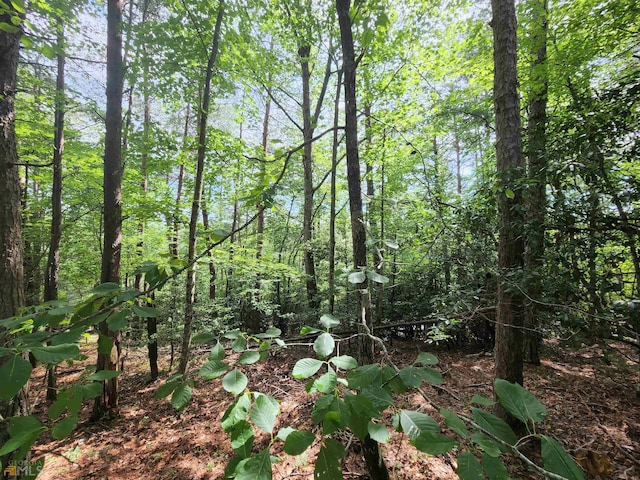 Listing photo 3 for LOT107 Rosen Strasse, Helen GA 30545