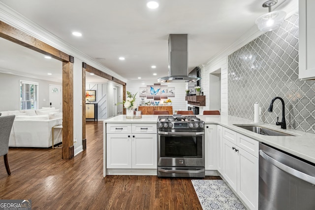 kitchen with white cabinetry, sink, stainless steel appliances, dark hardwood / wood-style flooring, and island range hood