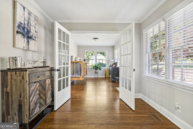 interior space featuring french doors, a healthy amount of sunlight, and dark hardwood / wood-style floors