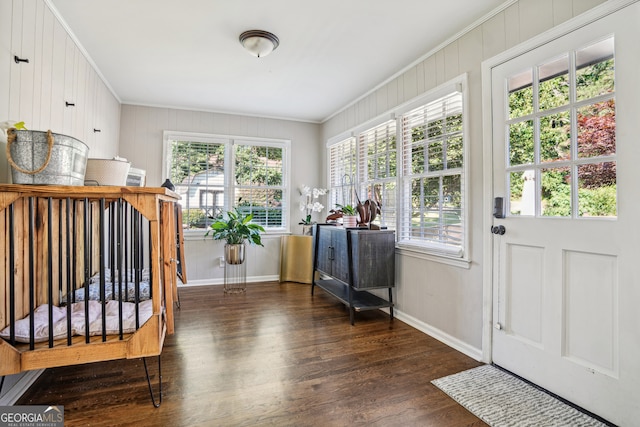 entryway with dark hardwood / wood-style floors, ornamental molding, and a wealth of natural light