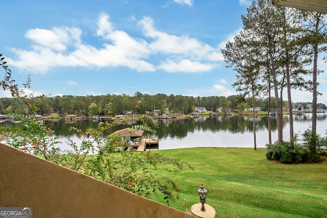 water view featuring a dock