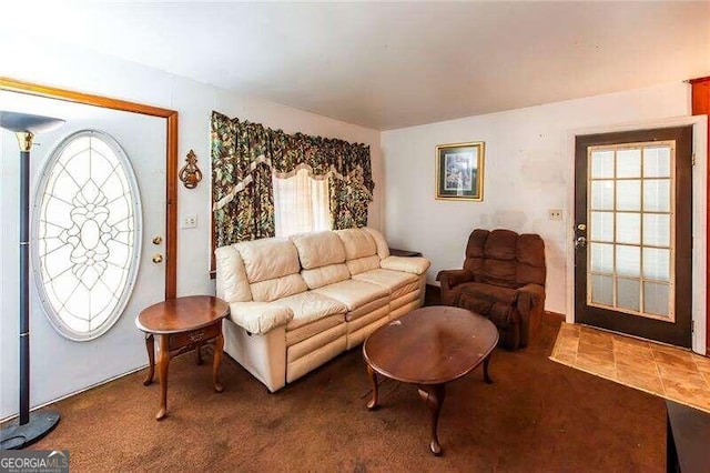 carpeted living room with a healthy amount of sunlight