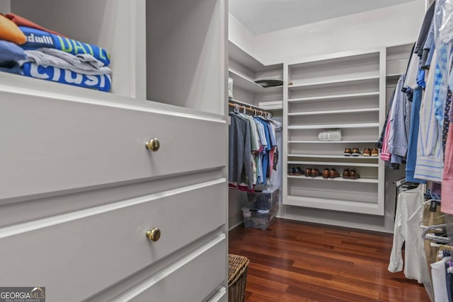 walk in closet featuring dark hardwood / wood-style flooring