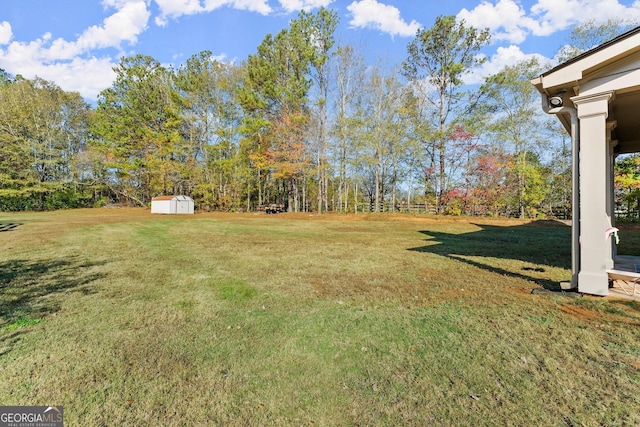 view of yard with a storage unit