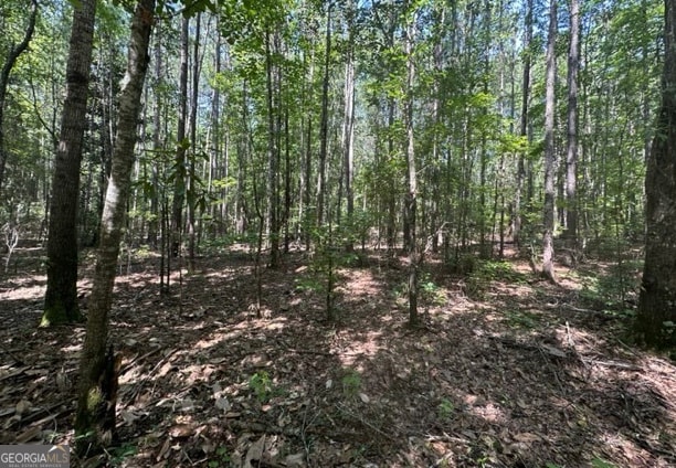 0 Dorton Creek Rd, Manchester GA, 31816 land for sale