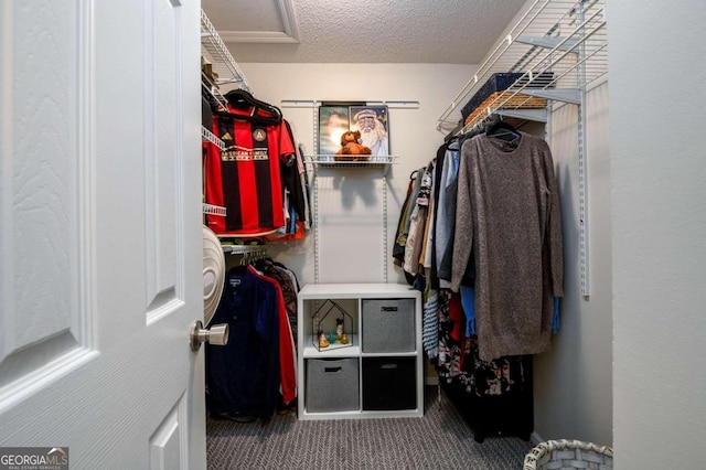 spacious closet featuring carpet