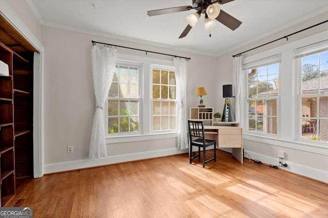 office featuring ceiling fan, wood-type flooring, and ornamental molding