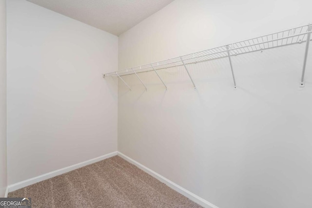 walk in closet featuring carpet