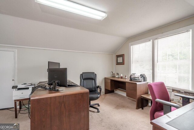 carpeted office space with vaulted ceiling