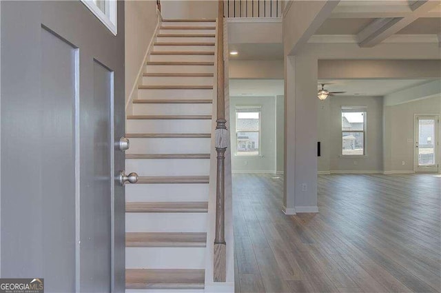 stairs with beam ceiling, hardwood / wood-style flooring, and coffered ceiling