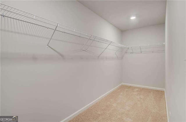 walk in closet with carpet