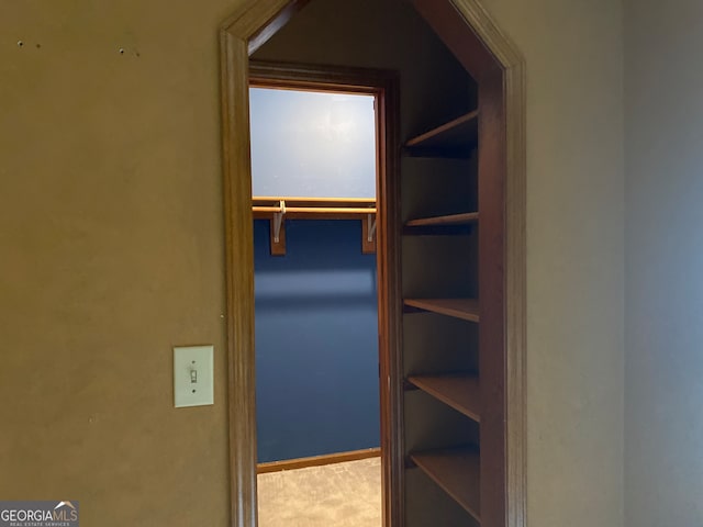 spacious closet featuring carpet