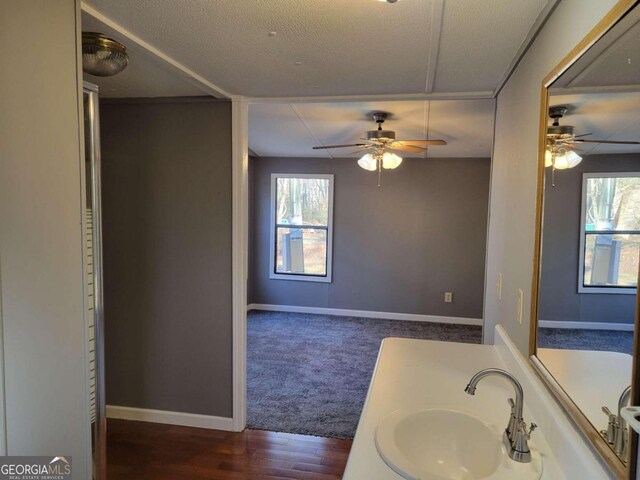 bathroom featuring hardwood / wood-style flooring, sink, and a textured ceiling