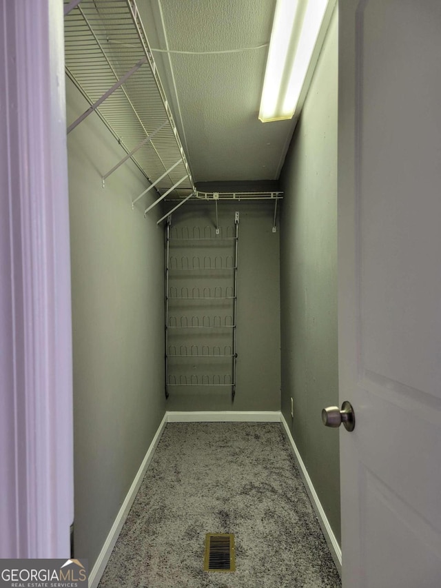 spacious closet with carpet floors