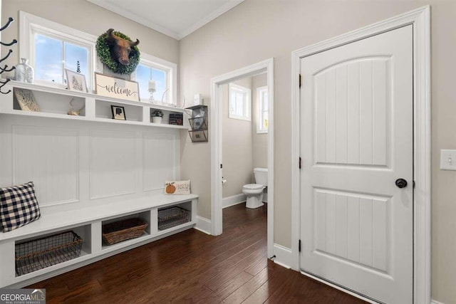 mudroom featuring ornamental molding and dark hardwood / wood-style floors